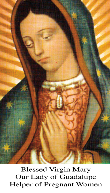 Our Lady of Guadalupe Helper of Pregnant Women Prayer Card